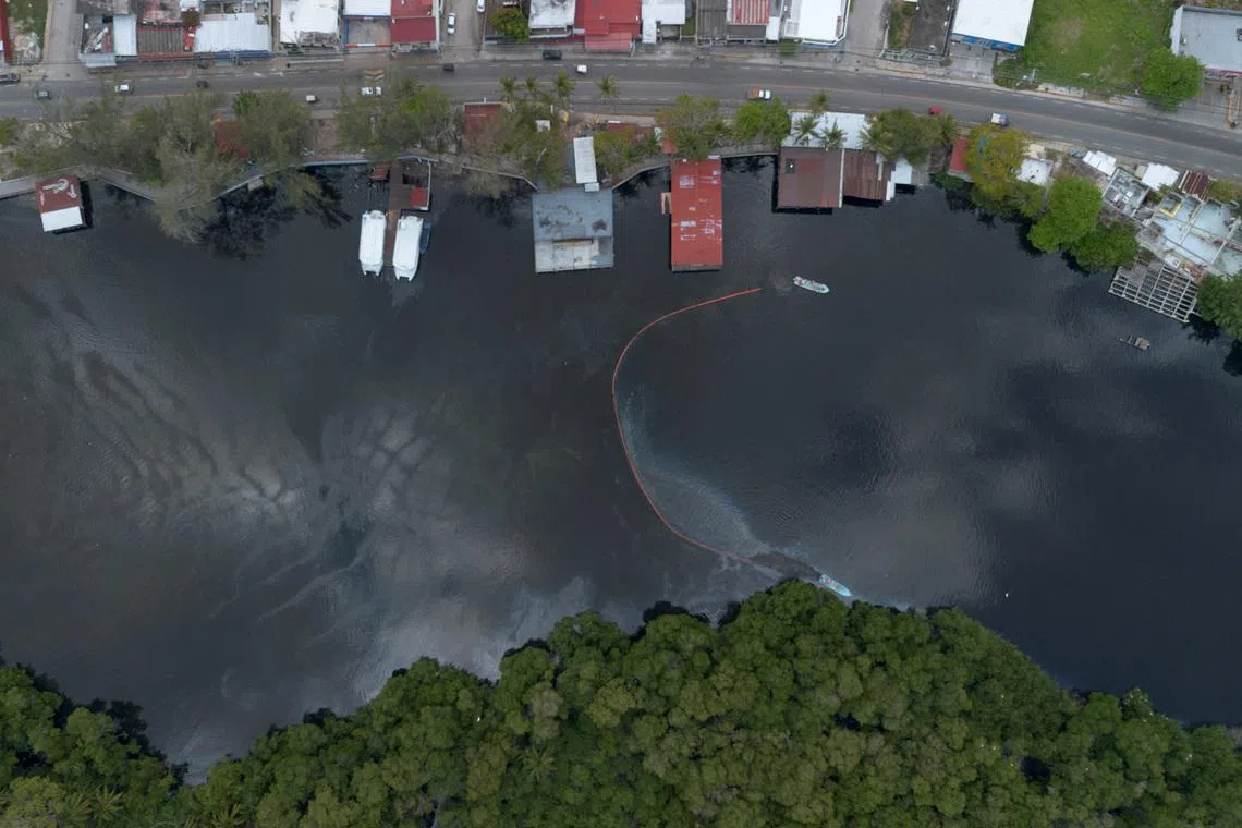 Tumpahan Minyak Pemex di Meksiko Dampak Buruk bagi Lingkungan